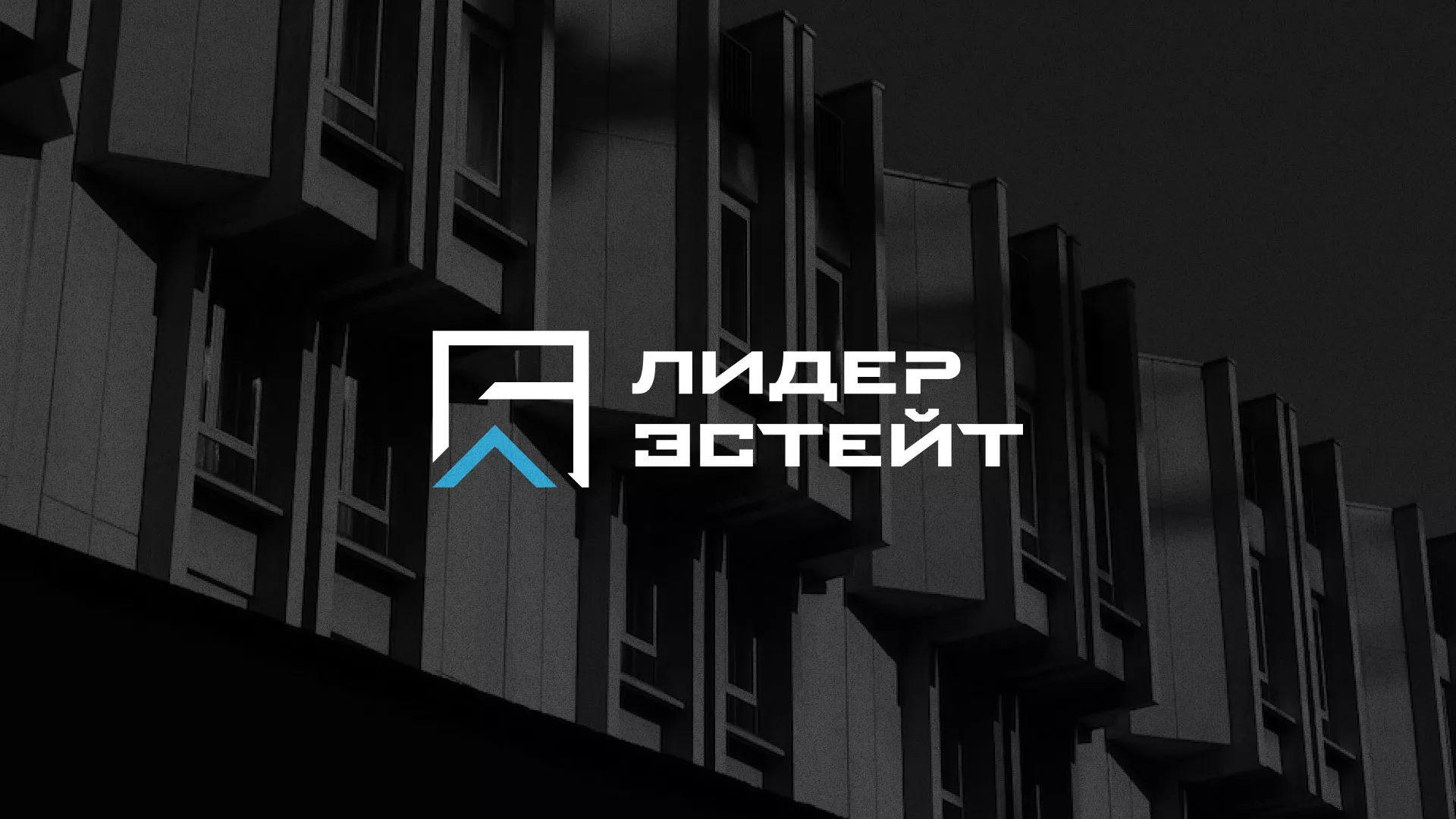 Разработка логотипа агентства недвижимости «Лидер Эстейт» в Новом Осколе
